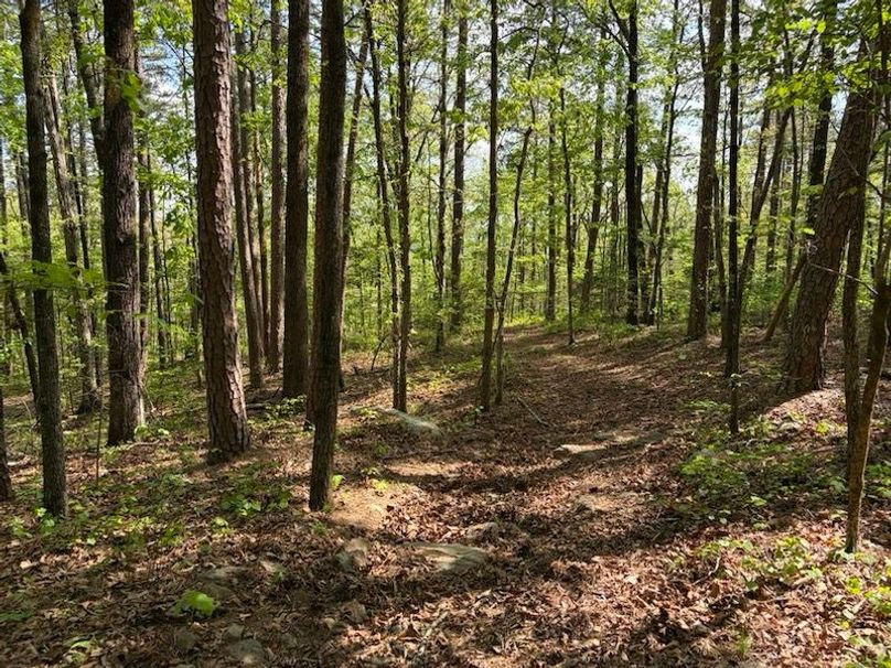 925E0954-5360-4963-9E78-1936803106EC_1_105_c