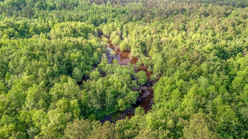 Carolina Homestead Horry-08