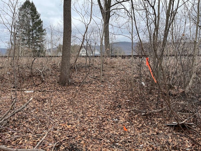 Chemung_.3444_Brown photo 17