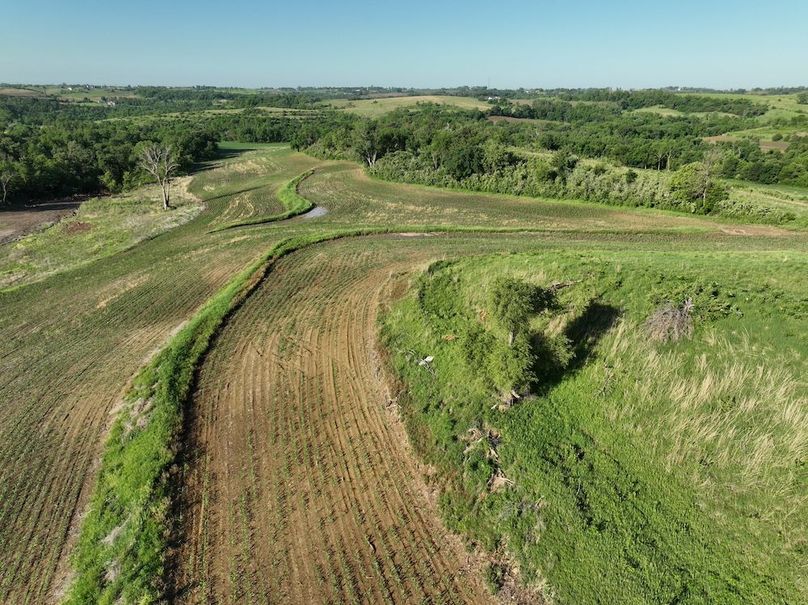 dji_fly_20260601_080236_526_1780319424331_photo