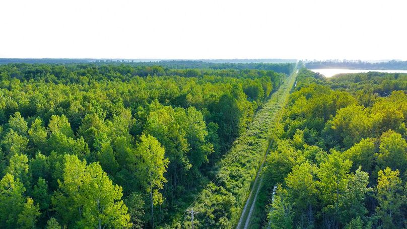 DJI_20240819183504_0149_D