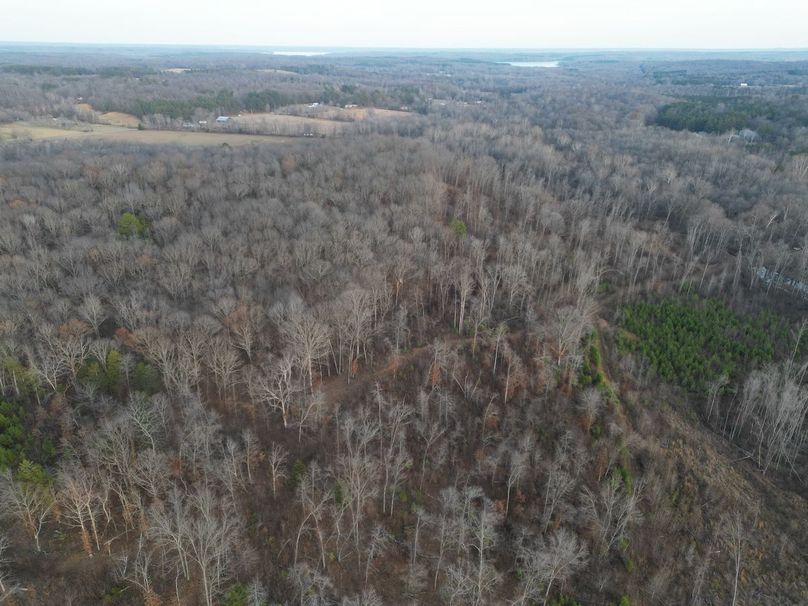 dji_fly_20231130_052424_266_1701905204426_photo