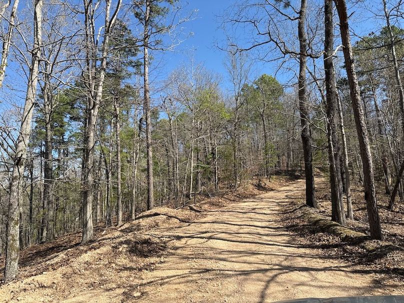 DJI_20260326_110655_850