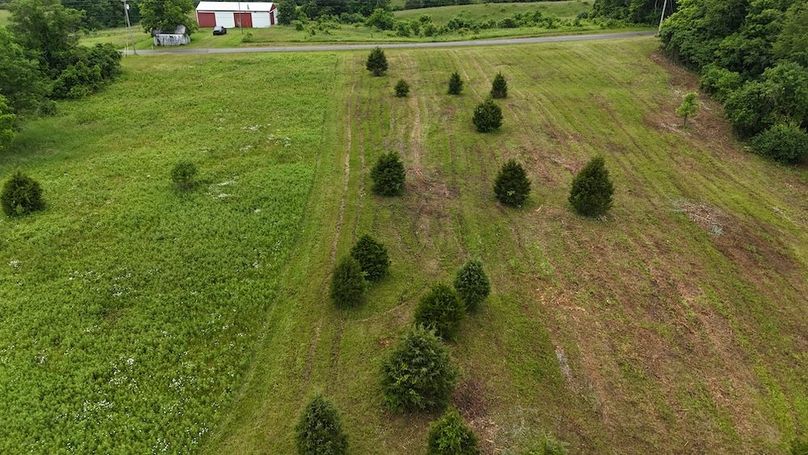 DJI_20250605125339_0610_D - Copy