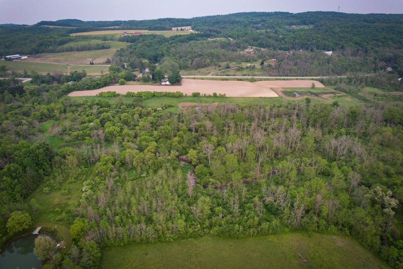 Ontatio_73.3_Green Photo 11