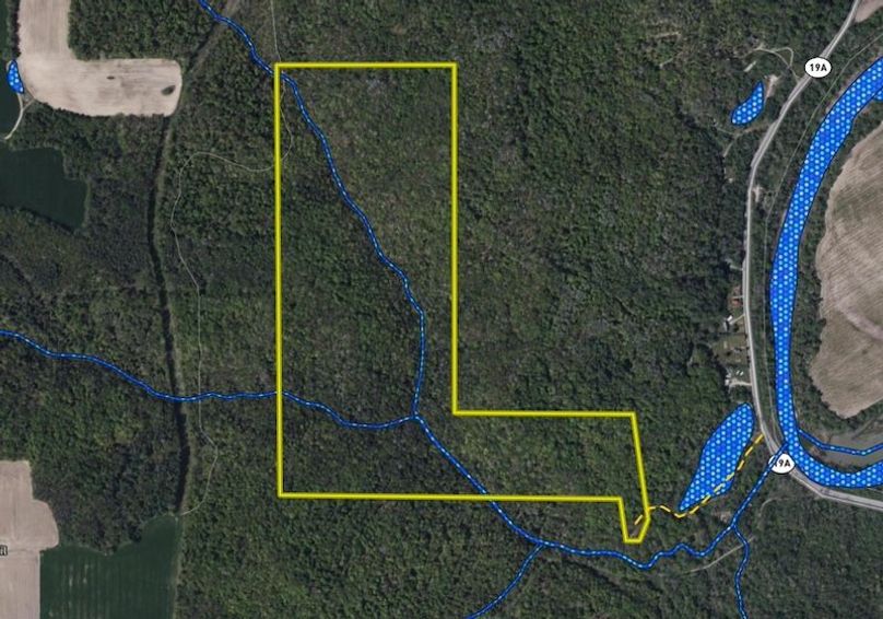 Land ID wetlands