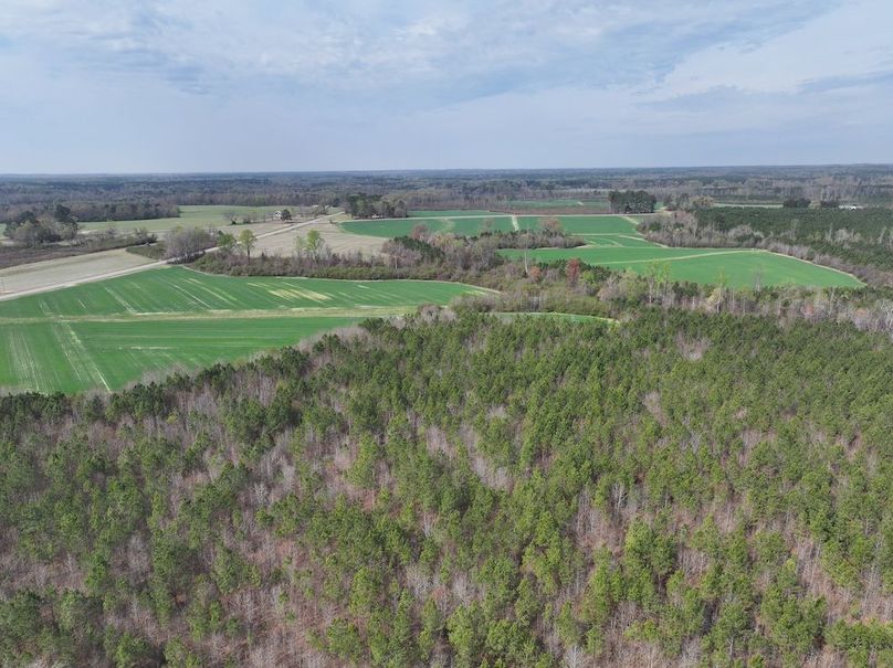 Copy of DJI_20260303063913_0558_D