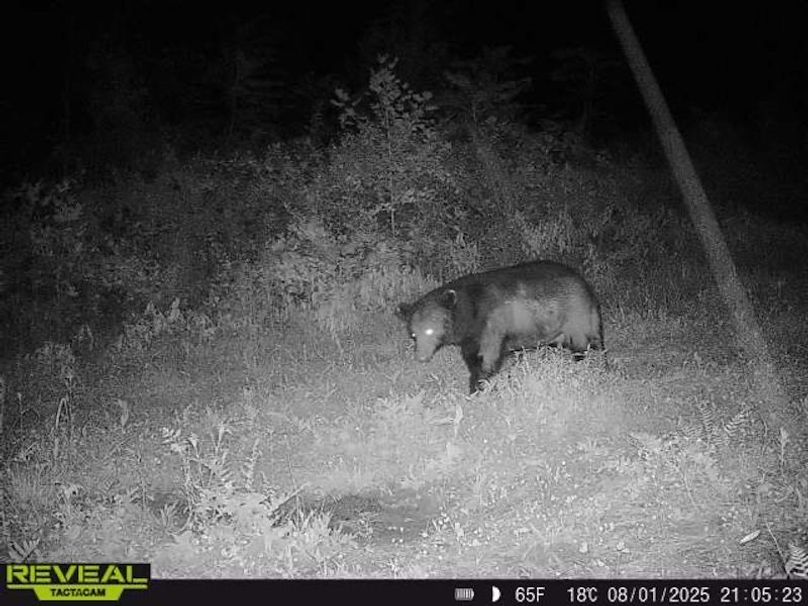 862515041535786-100-5-08012025210522-W1004566