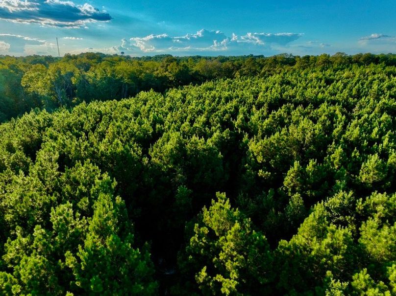 DF234912-AA2C-4B96-85AD-7CAE243041E5_1_105_c-2