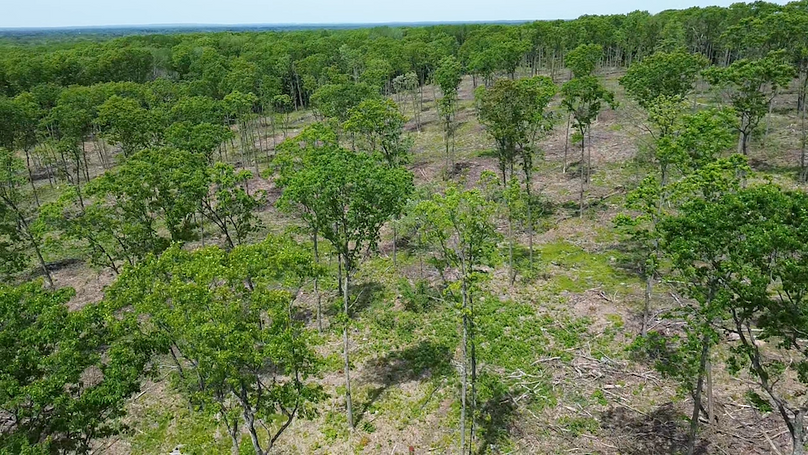 2024-05-24-12-54-48-155