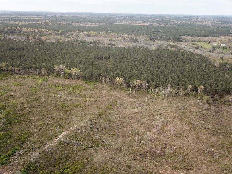 DJI_0947