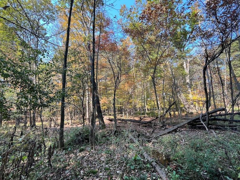 Yates_29_Stape Photo 13