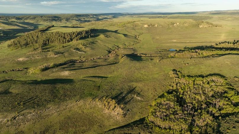 C95C9698-9E84-4068-8CC1-F69D52A1AEA7