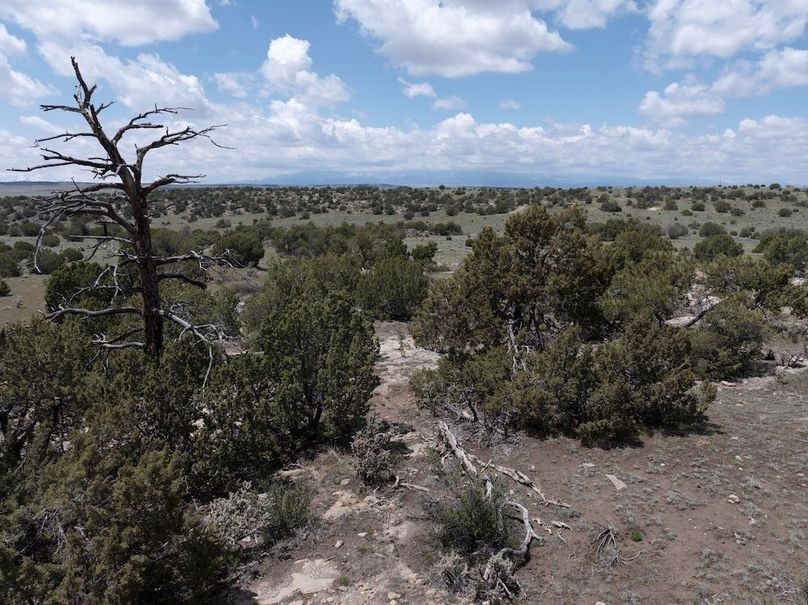 DJI_20250508124325_0061_D