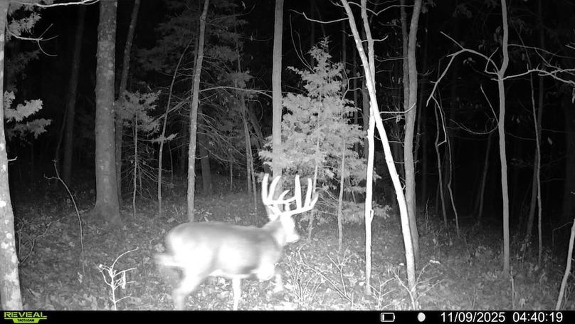 Trail Cam 2