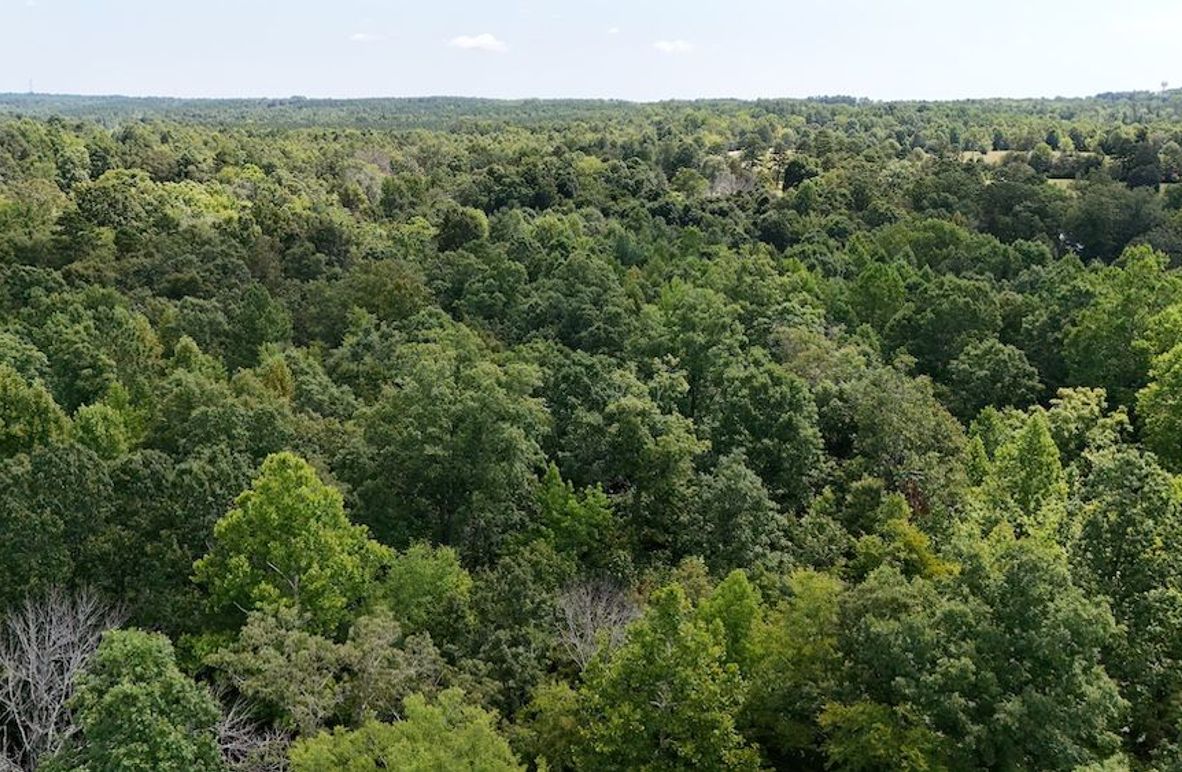 DJI_20250728112807_0147_D