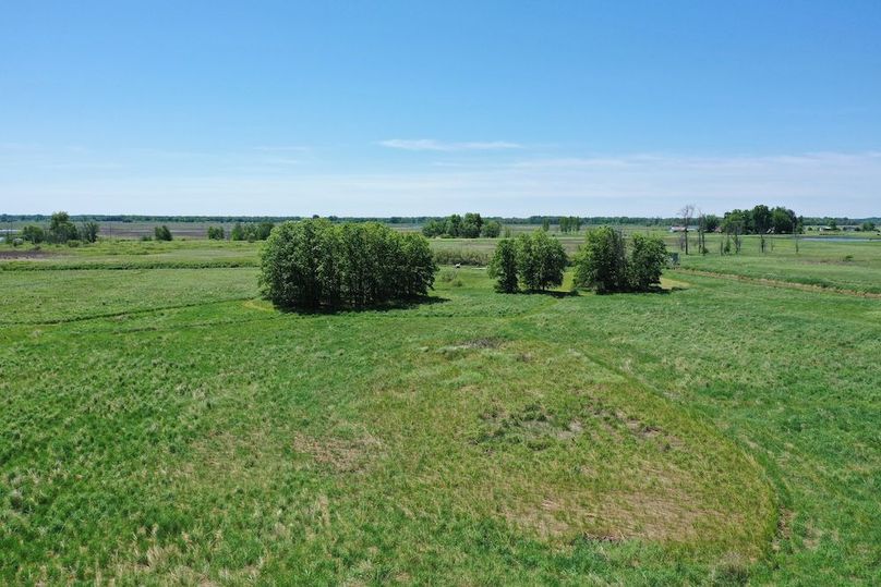 16T