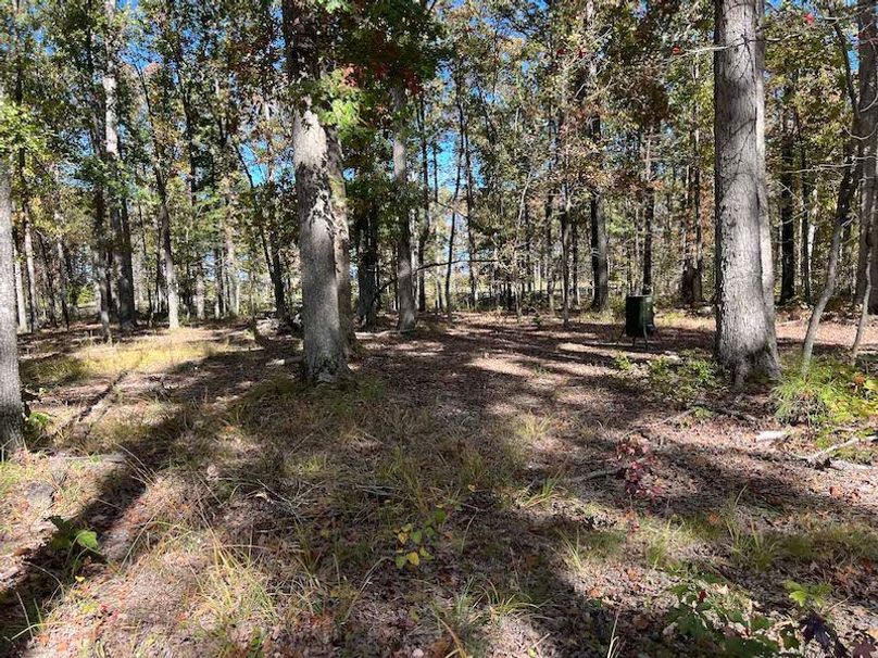 jeff 5020251111_0328