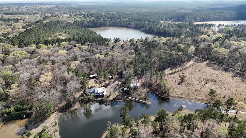 dji_fly_20260305_050542_0096_1772672658646_photo