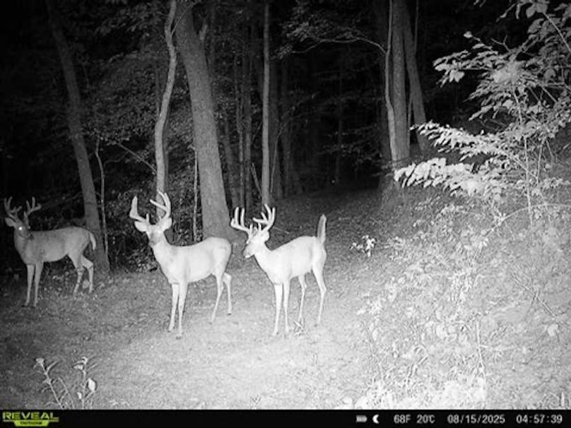 034F57F8-6E36-4F4D-98E8-169D68C0DE94_4_5005_c