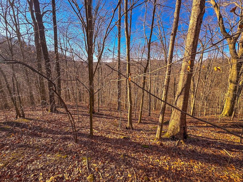 Lewis, WV 82.87 AC Barger-55