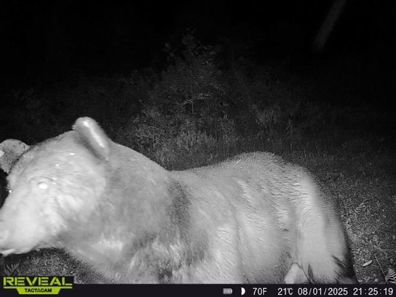 862515041535786-100-5-08012025212518-W1004593