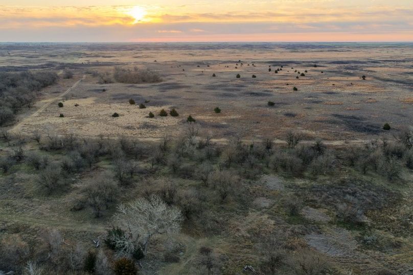 DJI_20260311081446_0515_D