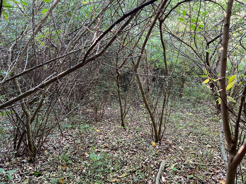 Wirt, WV 150.75 AC Tinnell-57