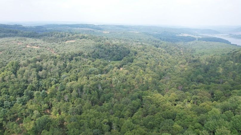 dji_fly_20250806_152214_622_1754528893629_photo