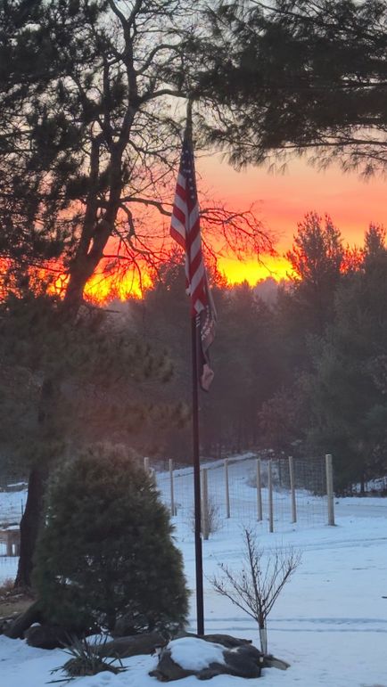 Monroe 68.2 - 41.5 of 120