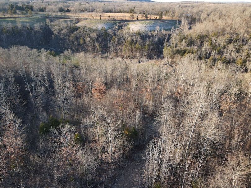 DJI_0300