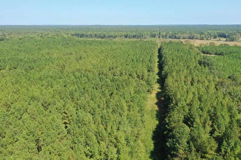 5CEF5CA5-AC92-4756-977D-5B29B3AB8730_1_105_c