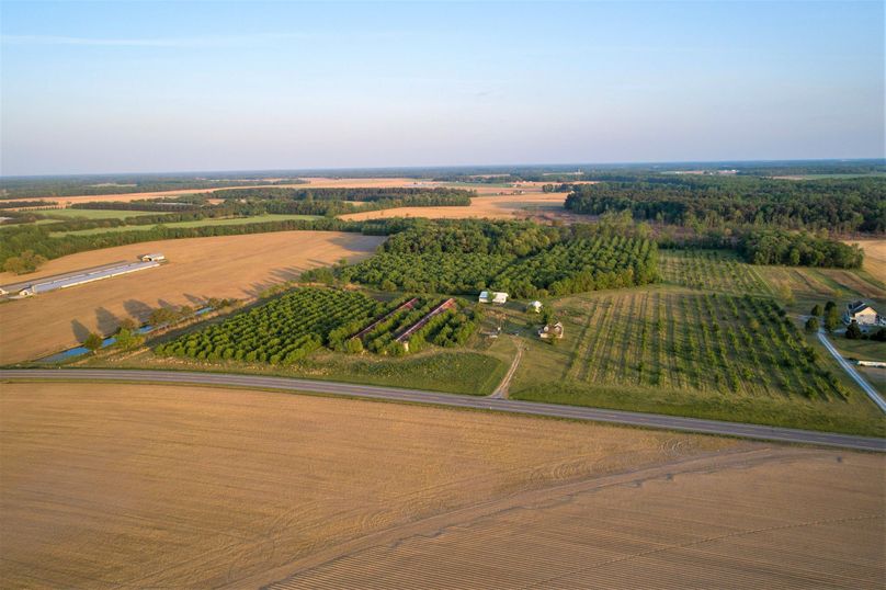 50.38ac_BethlehemRd_Caroline_AERIAL_003