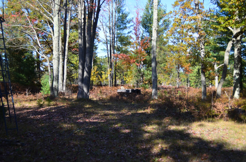 Screenshot 2025-11-14 at 11.11.30 AM