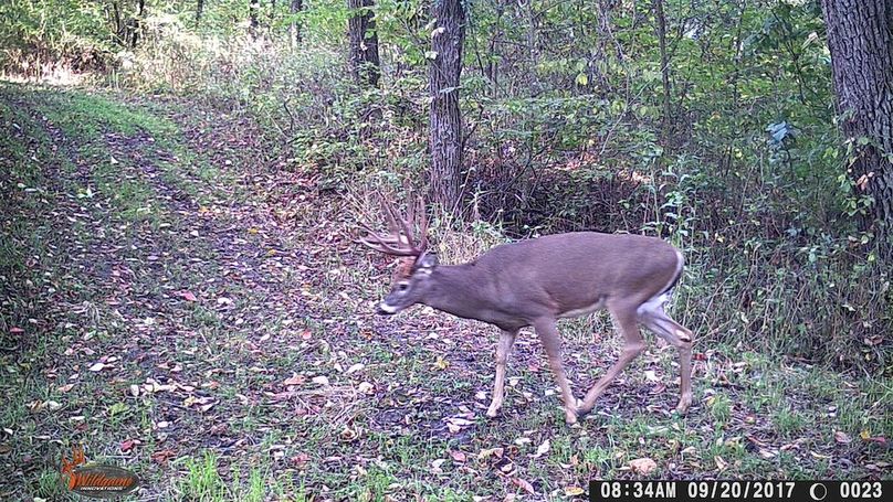 WGI_0023.deer pics (1)