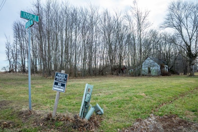 Copy of DSC00741 Large