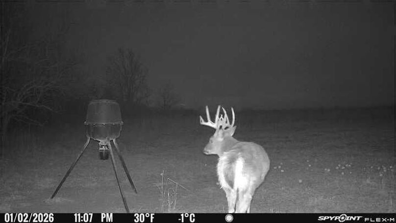 Trail Cam 12