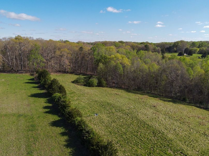 dji_fly_20240405_095626_301_1712325560717_photo