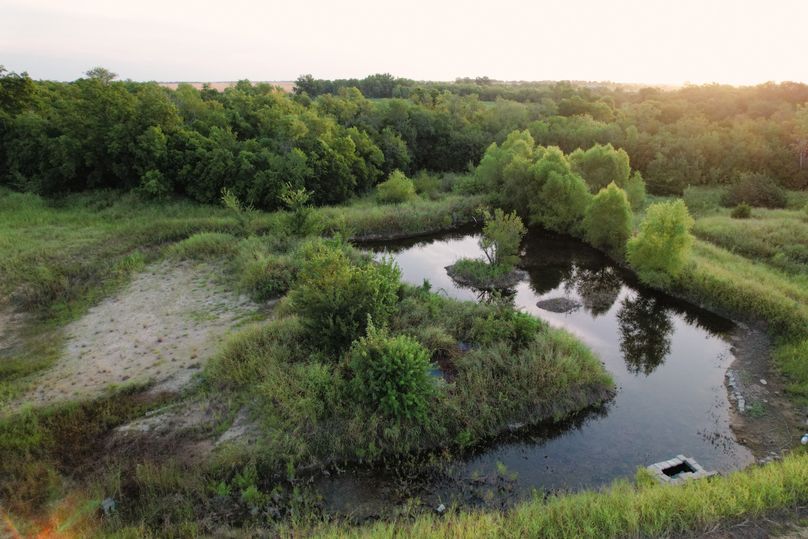 Fannin 37 Acres-14