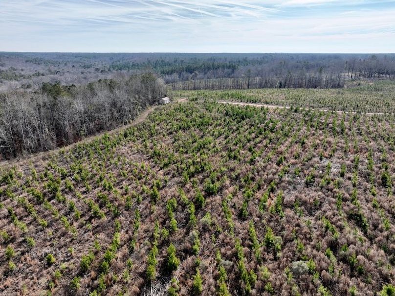 dji_fly_20260120_111400_163_1768926666115_photo