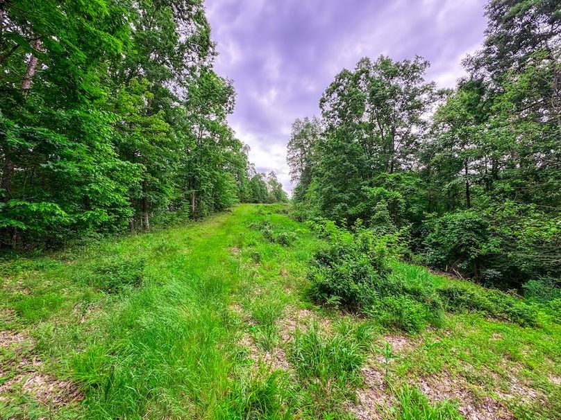 Tyler, WV 313.87 AC -24