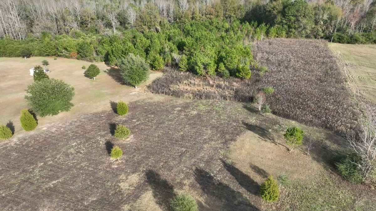 Small Tract In Sumrall School District With Awesome Home Site