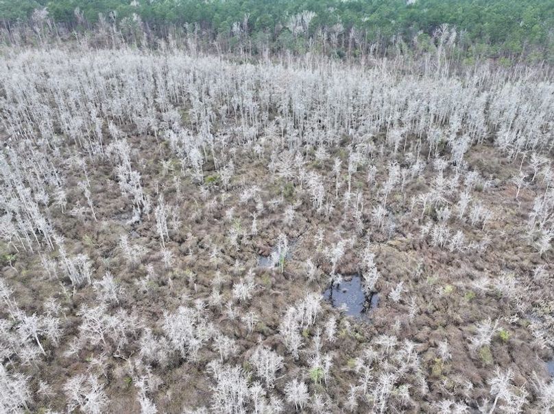 dji_fly_20260123_132716_0954_1769444768117_photo