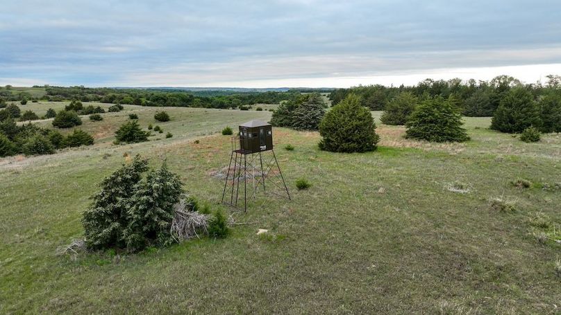 DJI_0603
