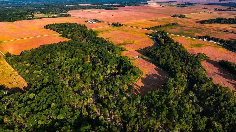 dji_fly_20250917_085414_0525_1758113878504_photo