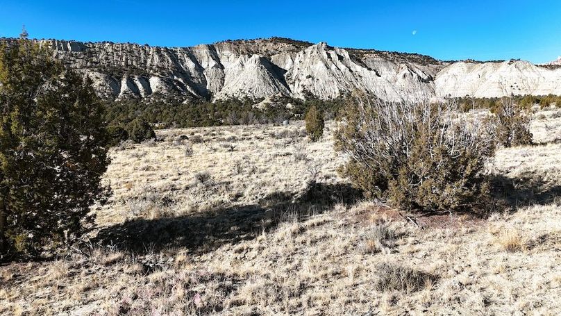 DJI_20241219101905_0066_D