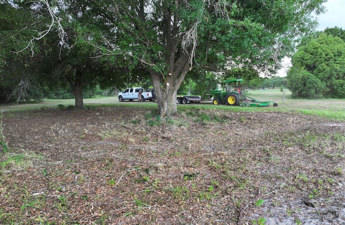 dji_fly_20240607_172608_0680_1717762776754_photo