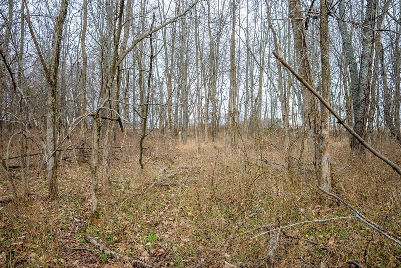 Copy of DSC00724 Large