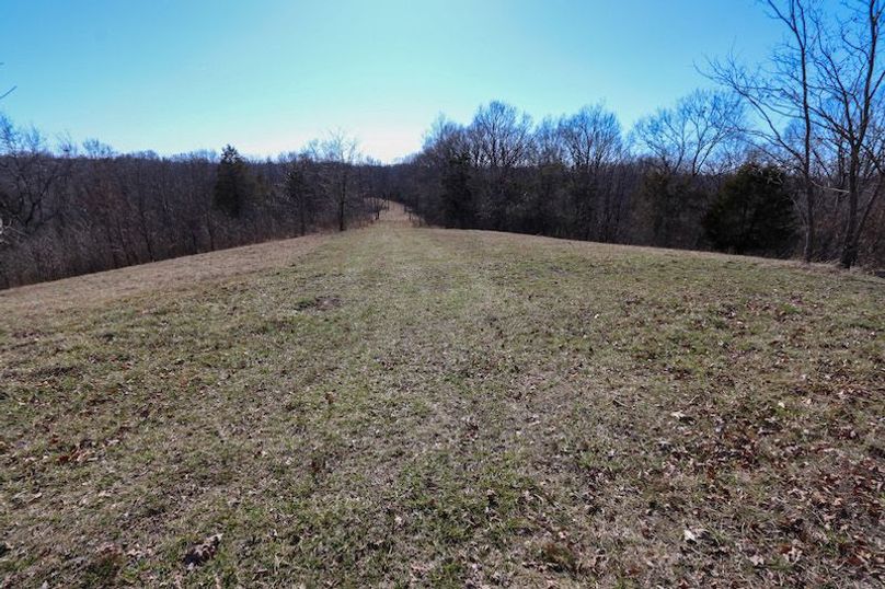 014 trail system leading from the main ridge down the middle point