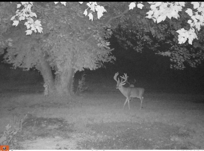 2A80BBFF-F495-48CD-B98F-B1119352AC70